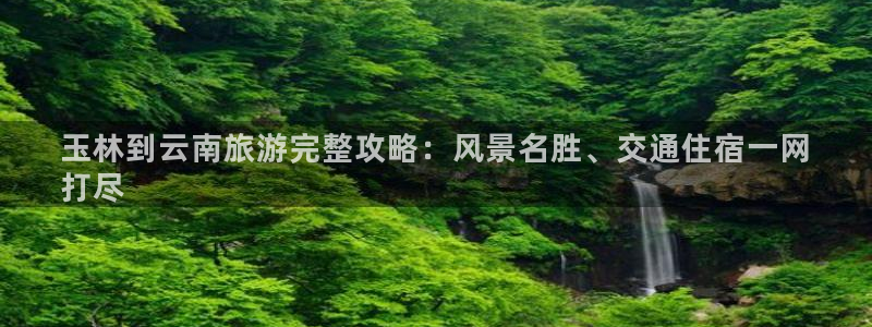 云顶国际4008平台
