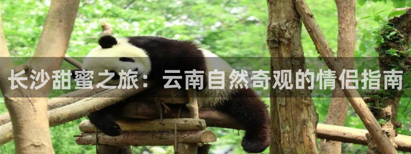 云顶集团7610官方网站
